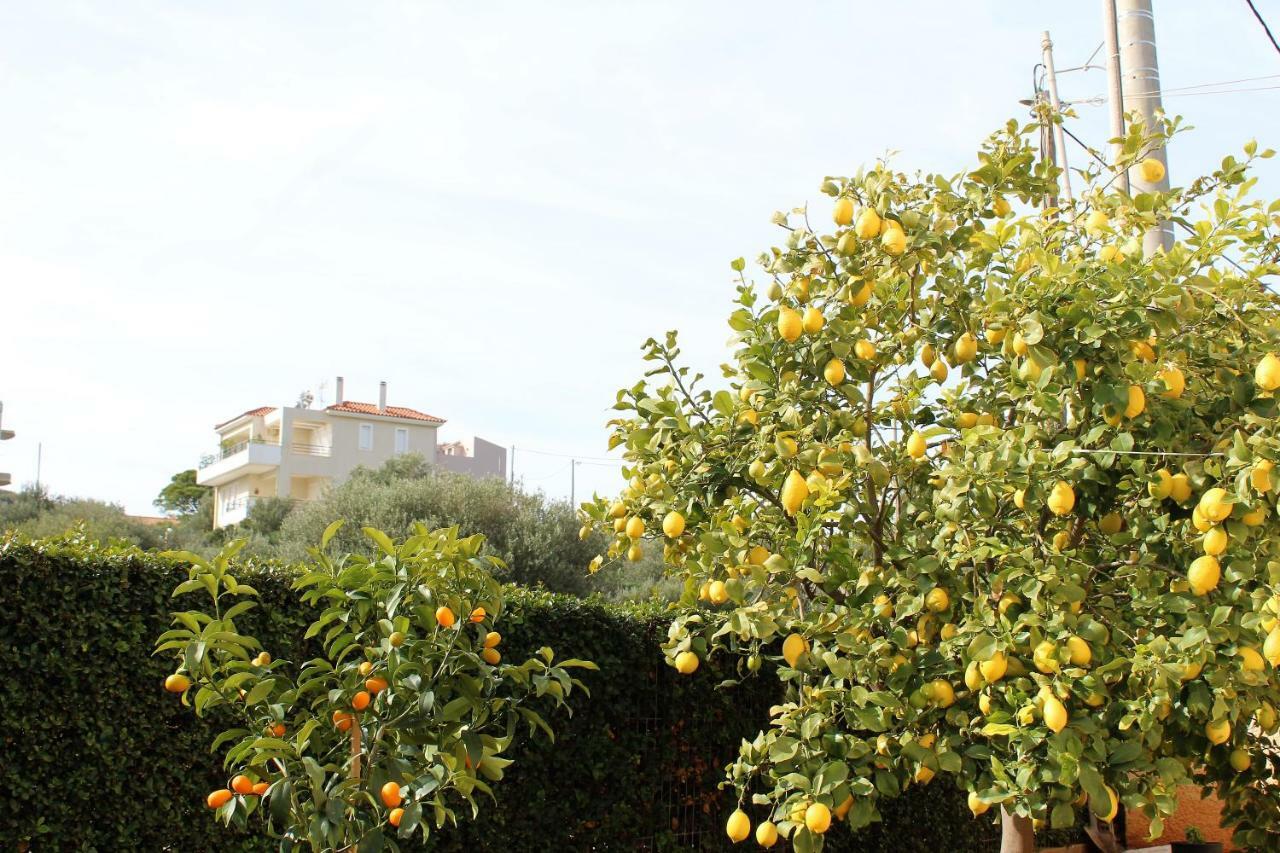 Helen'S Sounio Apartments Соунио Екстериор снимка